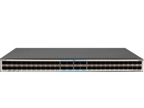 48 個 25GE SFP28 端口，8 個 100GE QSFP28 端口，三層以太網交換機